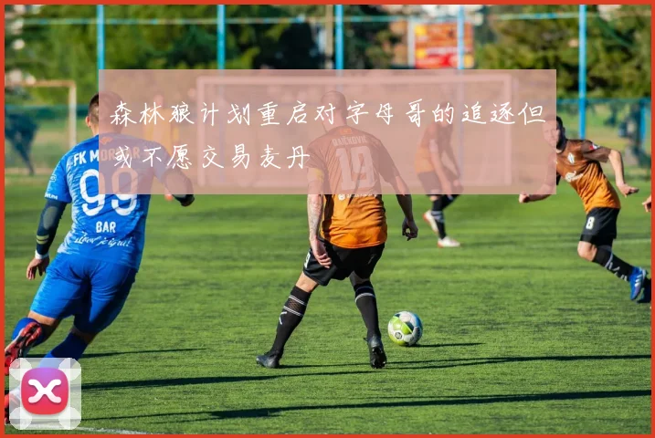 森林狼计划重启对字母哥的追逐但或不愿交易麦丹